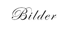 bilder3